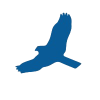 Custom icon